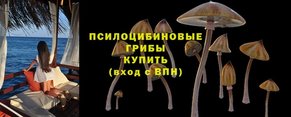 соль ск Заводоуковск