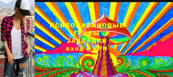 соль ск Заводоуковск