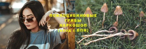 дмт Заволжск