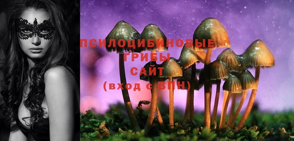 соль ск Заводоуковск