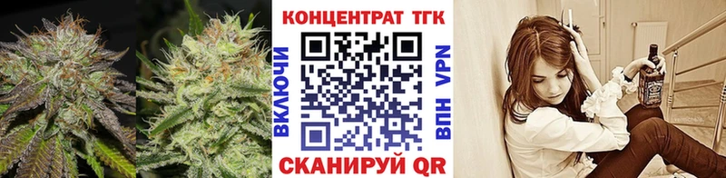 Купить где  Багратионовск  ТГК концентрат 